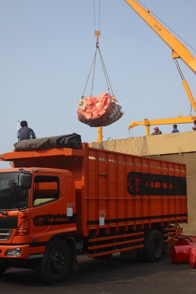 SKLD Distributorship gallery 3